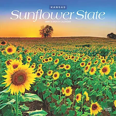 2025 BrownTrout Sunflower State Kansas Places Monthly Square Wall Calendar, 12″ x 12″, American States, Jan to Dec 2025, 9781975485771
