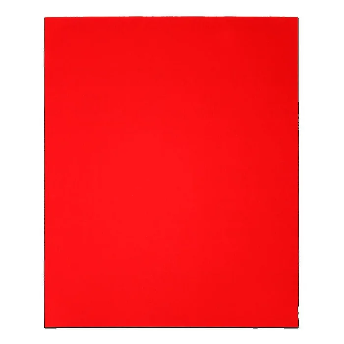 9in x 11in Sanding Sheets 220 Grit (4-Pack) DCS911220S04G