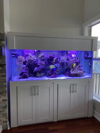 Aqua Wood Maple Shaker Series 72″L x 18″W x 36″H Stand