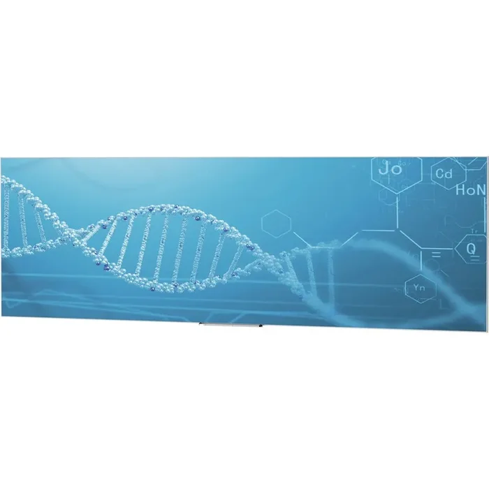 Da-Lite IDEA Panoramic 121″ Projection Screen