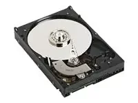 Dell 8 TB Hard Drive – 3.5″ Internal – SATA (SATA/600) 400-AHID