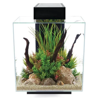 Fluval Edge 2.0 12 Gallon Aquarium, Black
