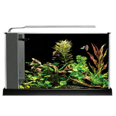 Fluval SPEC V Desktop Aquarium Kit – Black – 5 gal.