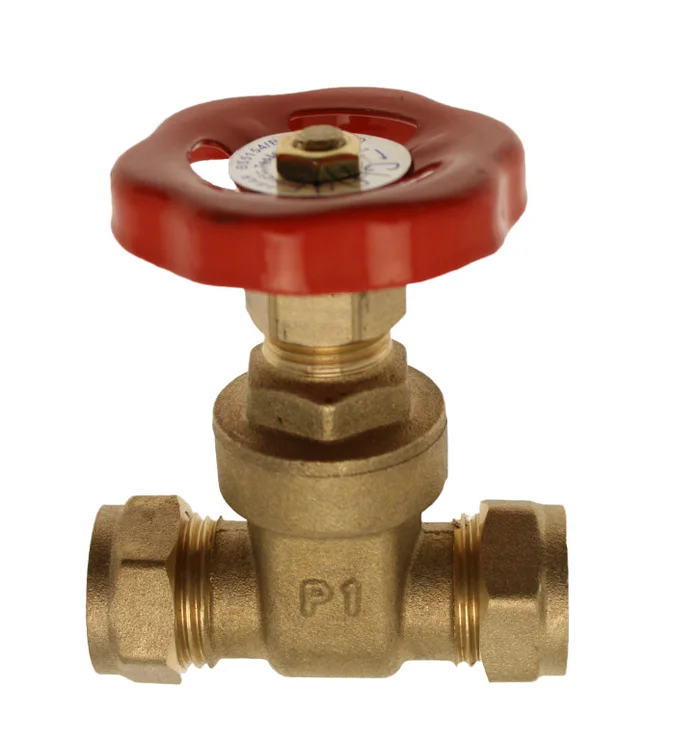 Gate Valve BS5154 DZR 28mm