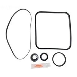 Generic SUPER PUMP REPAIR KIT | APCK1024