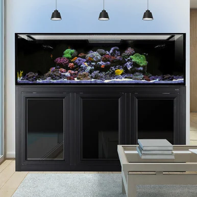 IM EXT 200 Gallon Complete Reef System – Black