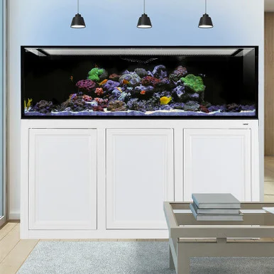IM INT 200 Aquarium w/ APS Stand – White (Made to Order)
