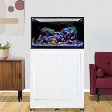 IM INT 75 Aquarium w/ APS Stand – White
