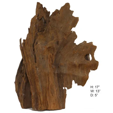 Malaysian Driftwood, Super WYSIWYG 17″ x 13″