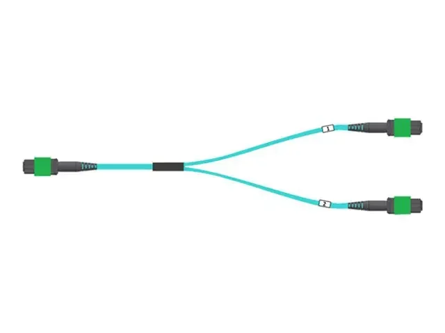 NVIDIA Passive Fiber Cable, MMF , MPO12 APC to 2xMPO12 APC, 20m