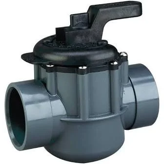 Pentair 2 Port, 1-1/2″ Slip (2″ SPG Outside) | 263038