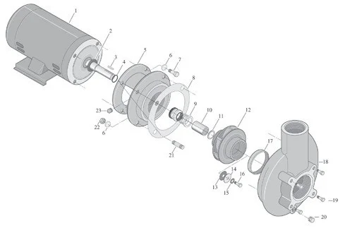 Pentair Impeller Key | U65-42A