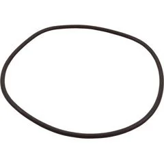 Pentair Kit Oring .535X17.73Id W/Blu Strps | 53008800Z