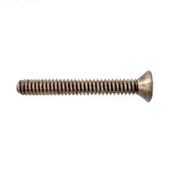 Pentair Screw | 630022