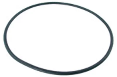 Premier 255 O-Ring,Volute | 31-161