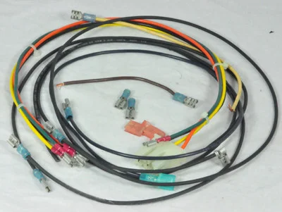 Raypak Harness Wire, Iid | 004011F