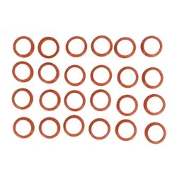 Raypak Header Gasket | 007834F