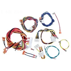 Raypak Wire Harness IID | 006738F