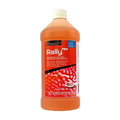 Ruby Reef Rally Pro 32 oz.