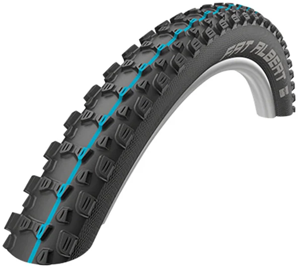 Schwalbe Fat Albert Rear
