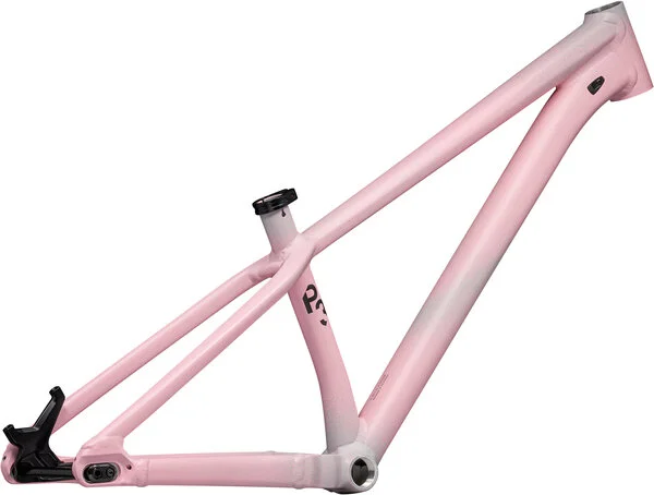 Specialized P.3 Frame