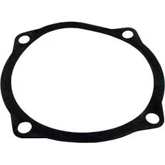 Waterco Gasket, Waterco Hydro 5000, Seal Plate, 6-5/8″ID, 7-5/8″OD | 19B5025