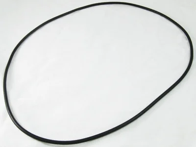 Waterway Lid Oring | 805-0383