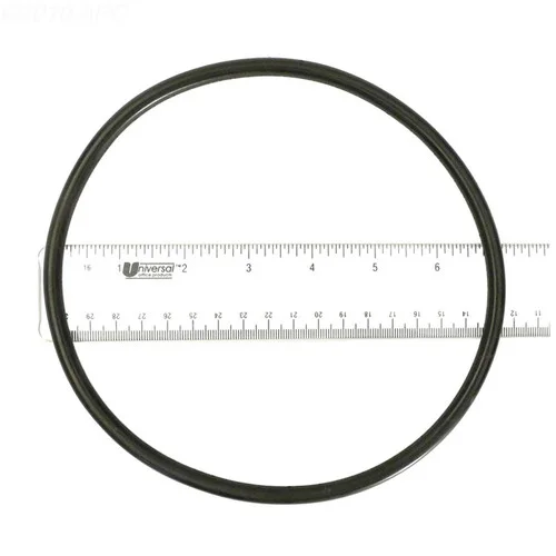 Waterway Plastics Lid O-Ring For Svl56 | 805-0439B