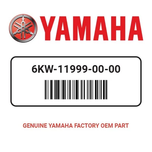 Yamaha 6KW-11999-00-00 Bracket 2